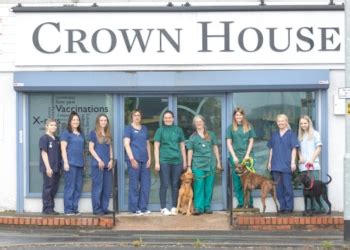 3 Best Vets in Rochdale, UK .